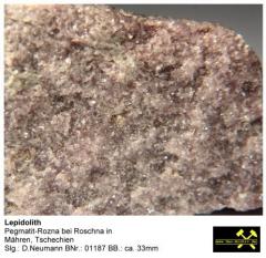Lepidolith - Pegmatit-Rozna bei Roschna in Mähren, (CZ) - Slg. D.Neumann BNr. 01187.JPG